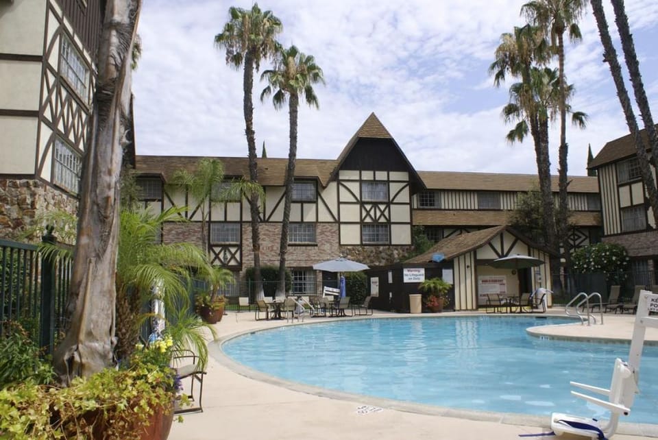 Lounge poolside under palms and soak up warm sunshine.