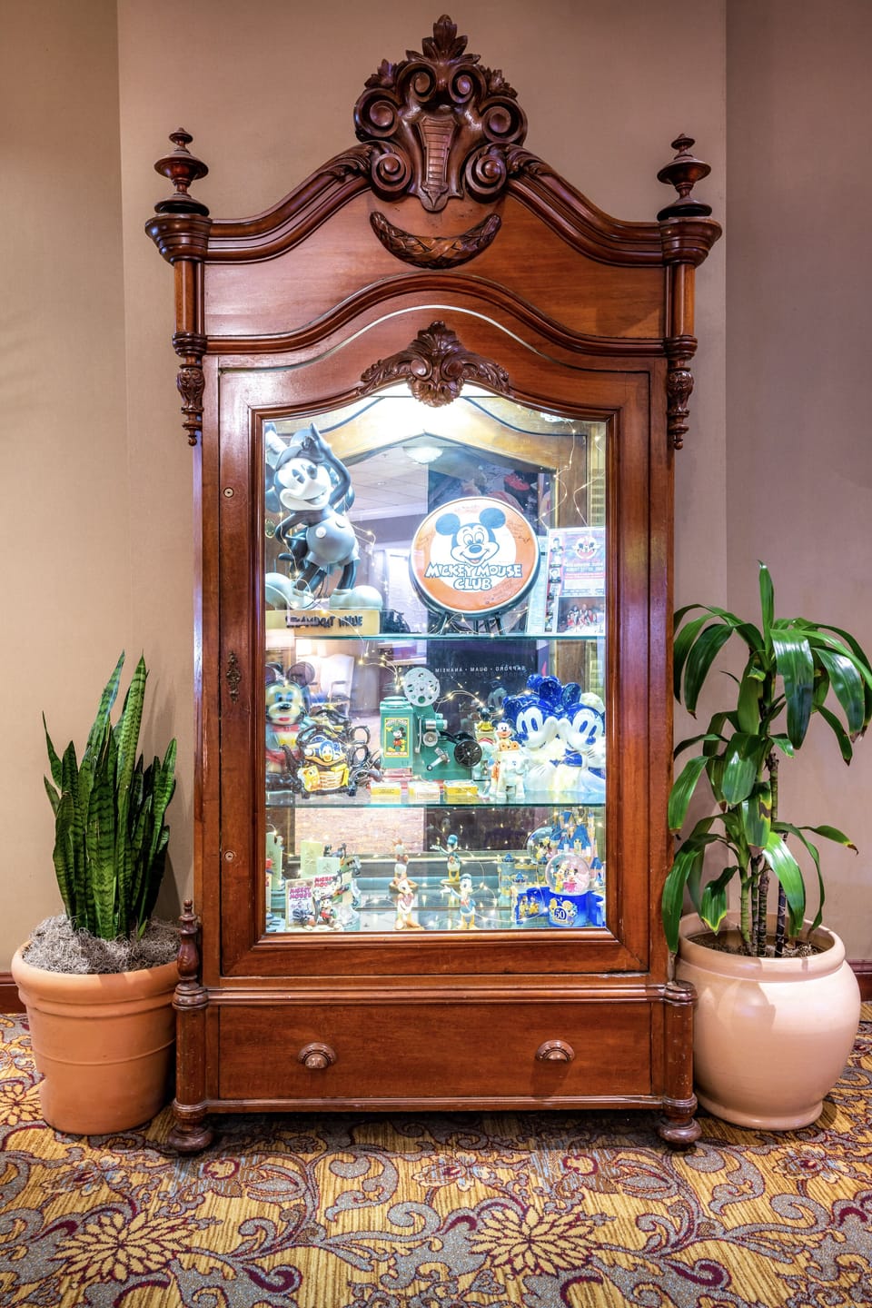Browse charming display collectibles that add character to shared spaces.