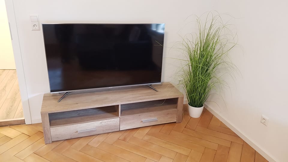 Television