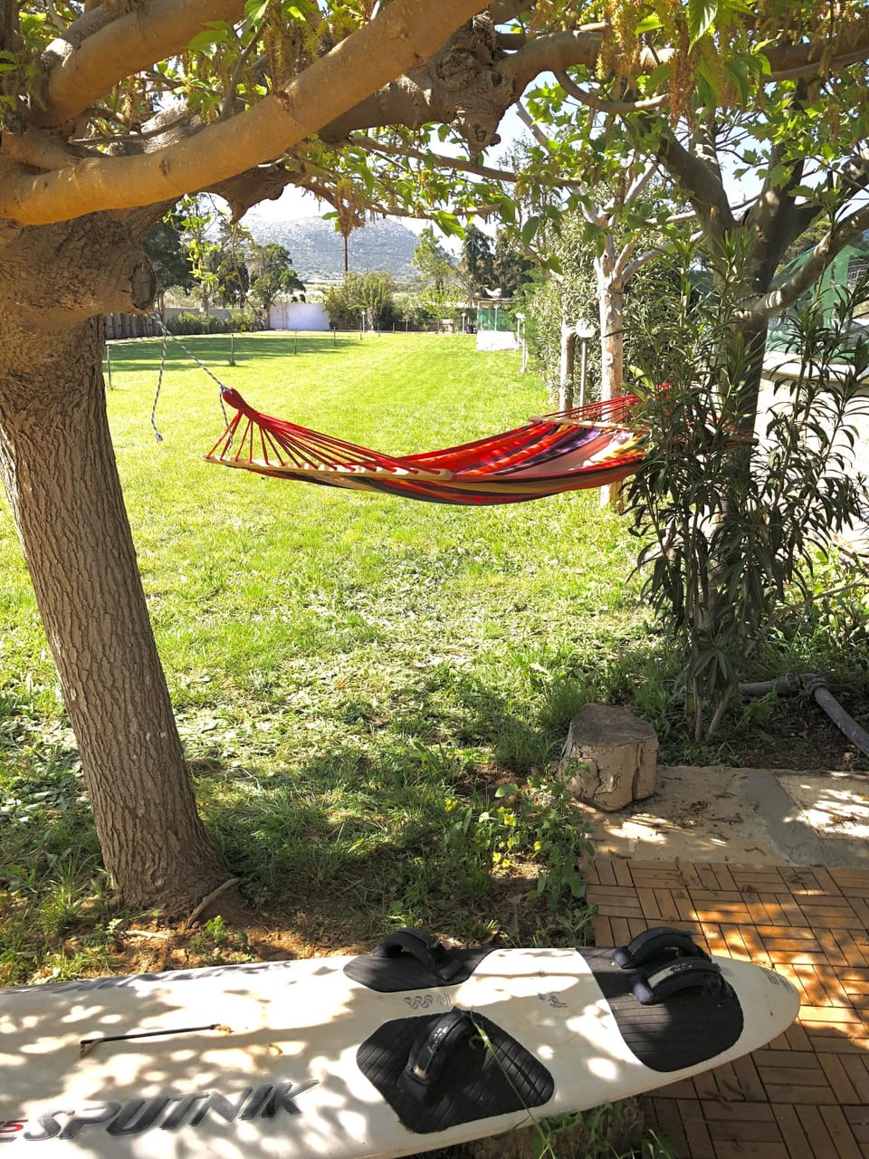 Hammock tranquility 