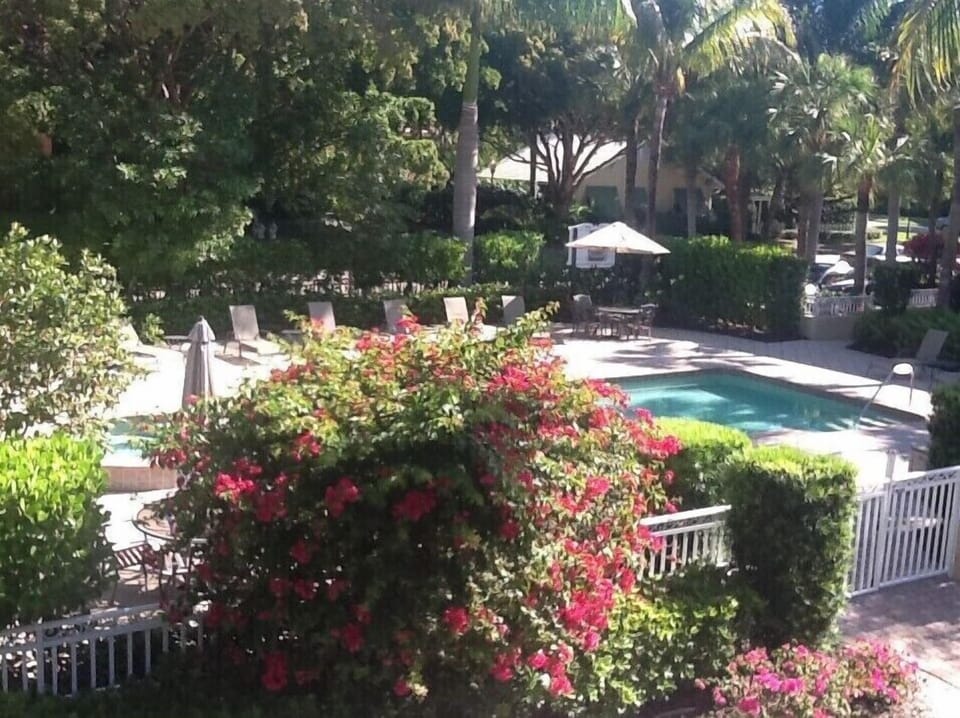 POOL AREA