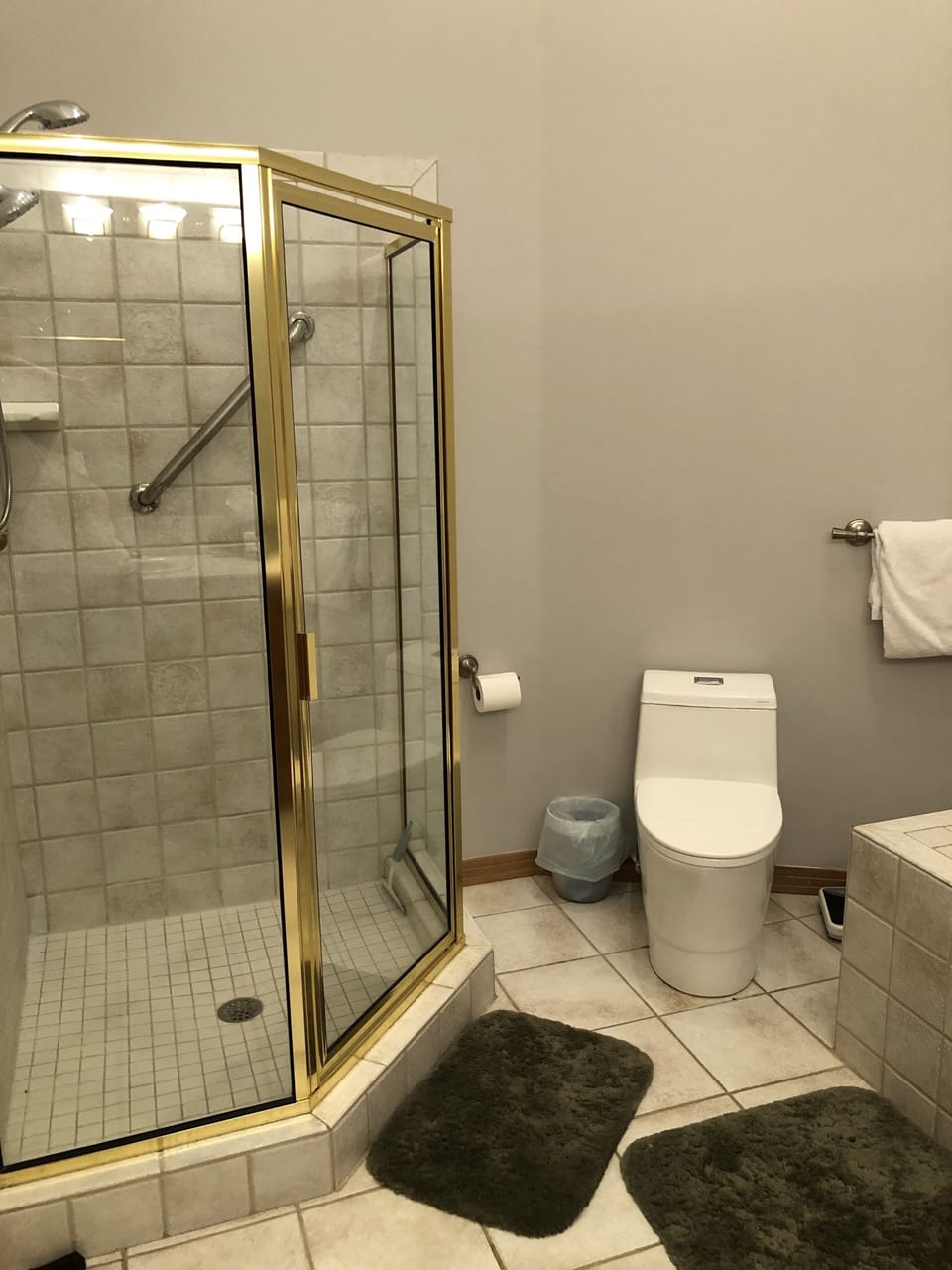 Master bath - shower