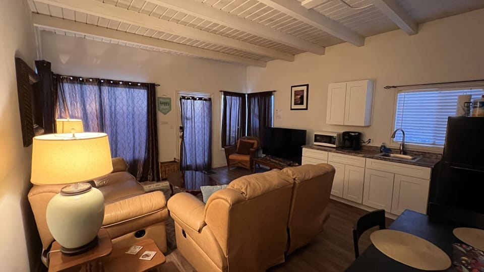 Living room with kitchenette 