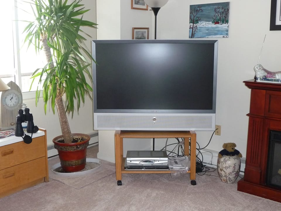 Television