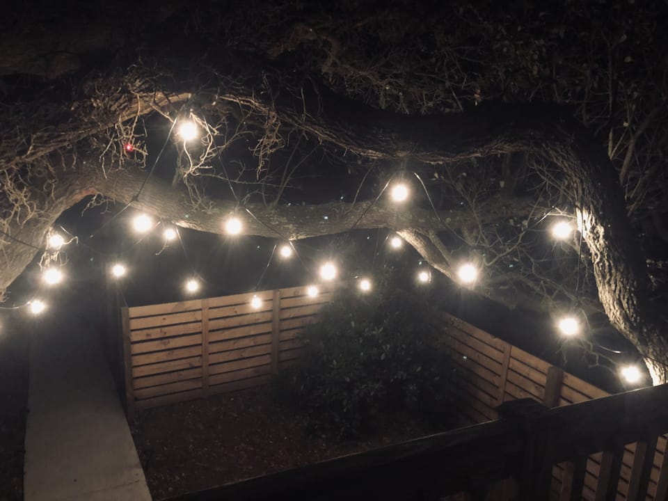 Super cool tree lights off back deck