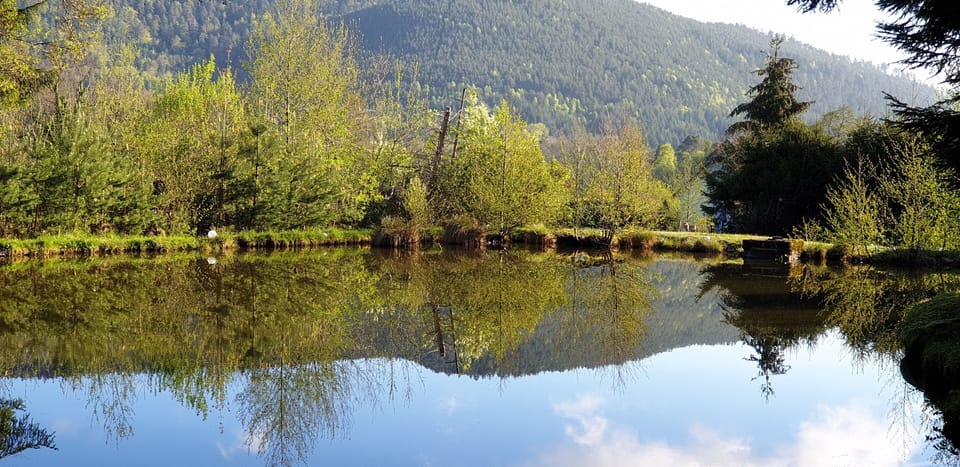 Lake