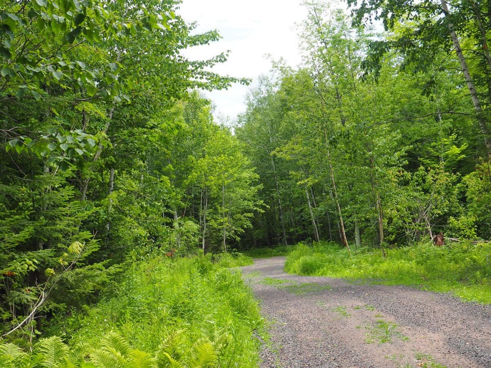 View of drive leading to Eagle's View