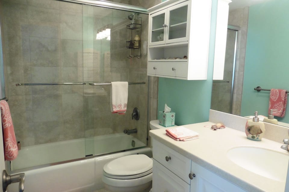 Guest bathroom