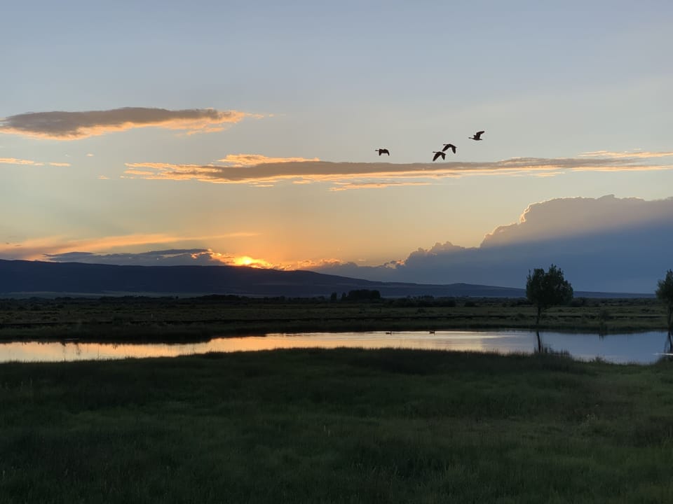 Enjoy walks at Tributary 