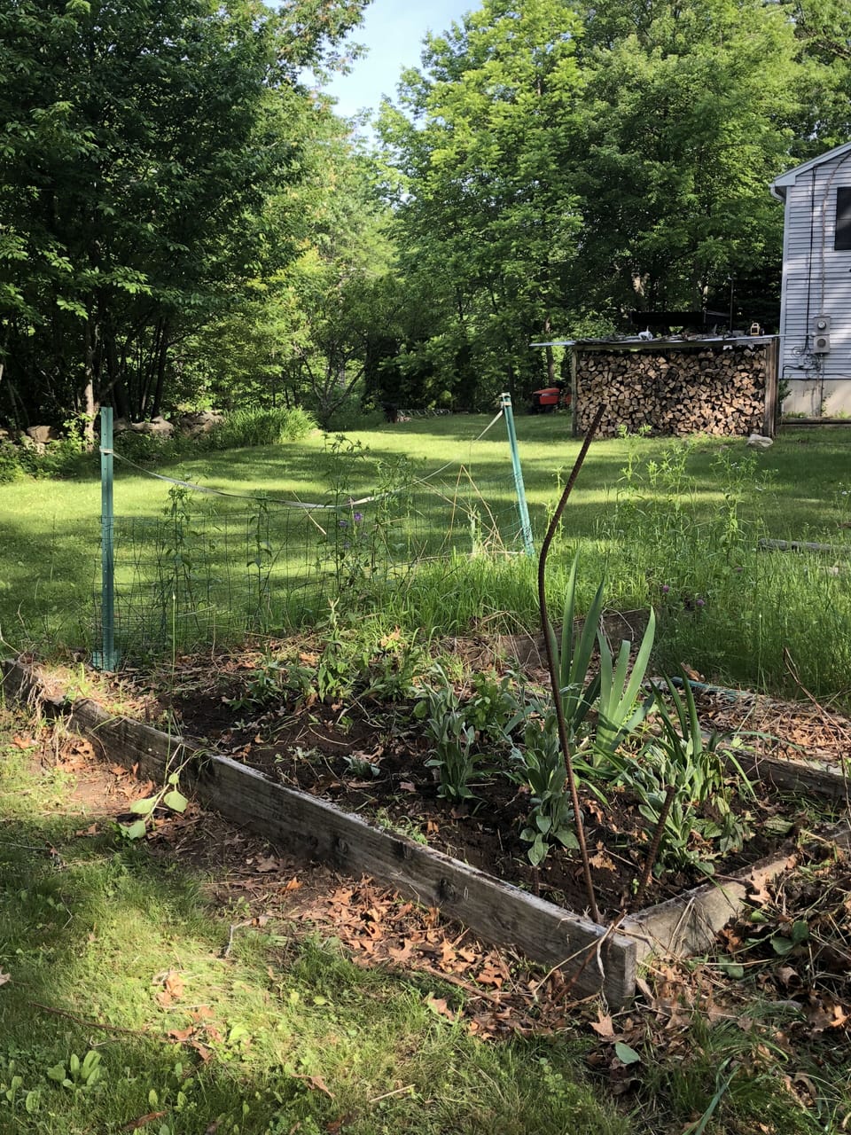 garden space