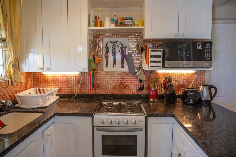 Basic spices are next to the microwave.