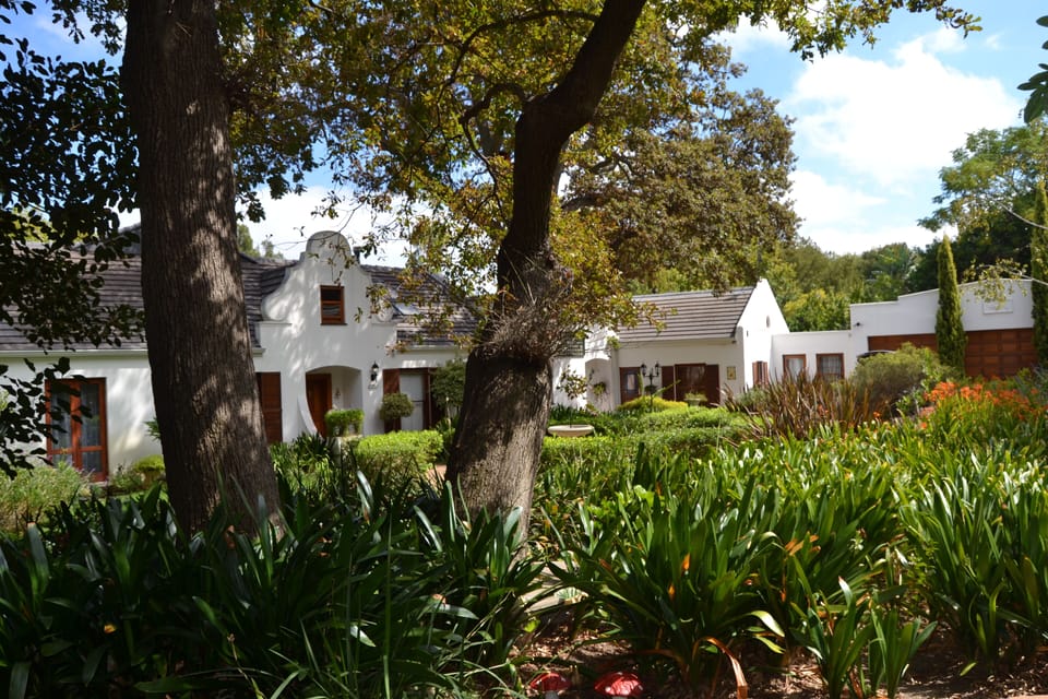 Under the oaks