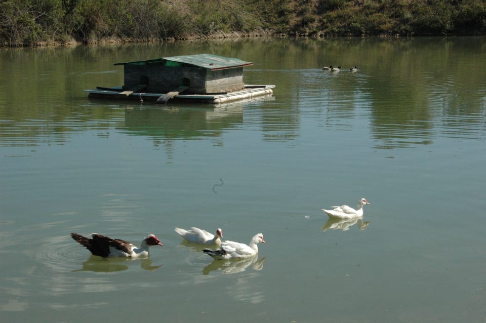 Lake