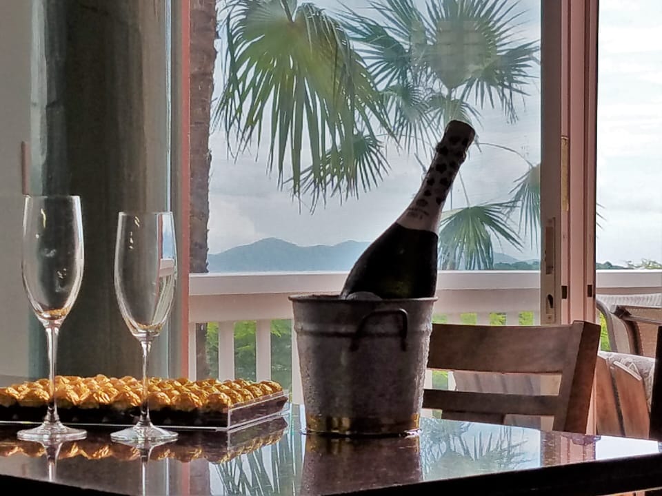 View from kitchen past Asti on ice, thru sliding glass doors, north toward Jost 