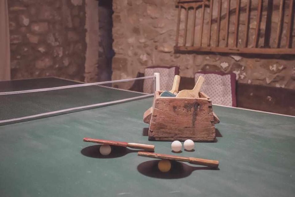 Game Room,Table tennis,children