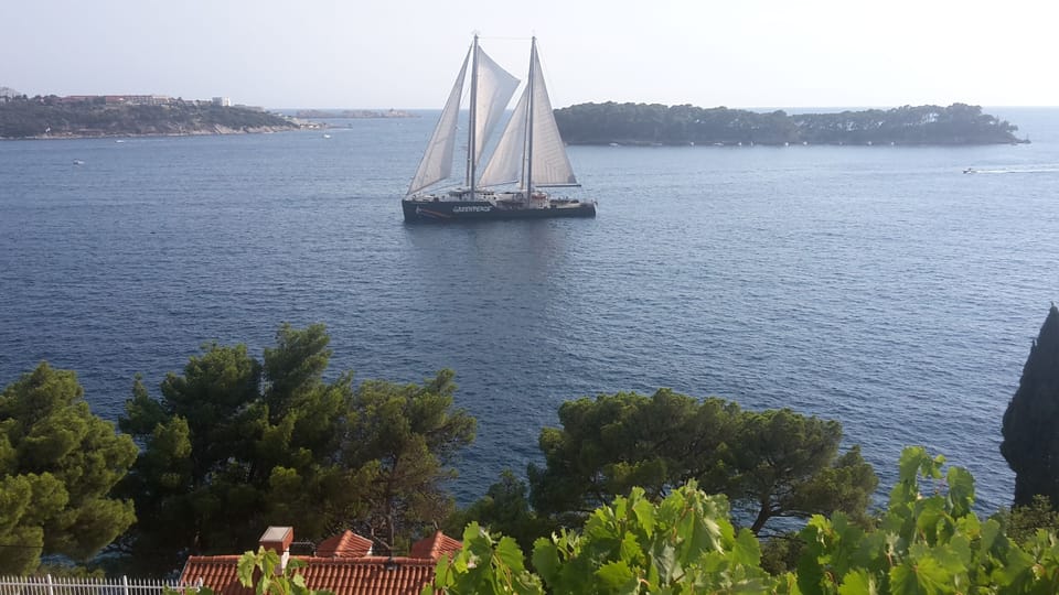 View