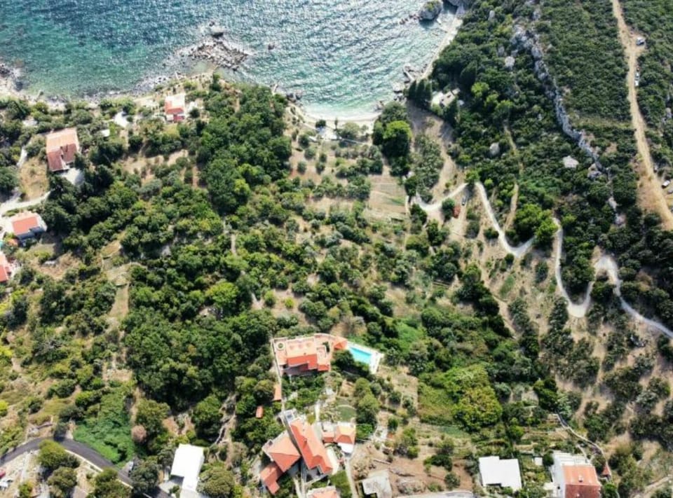 Area
