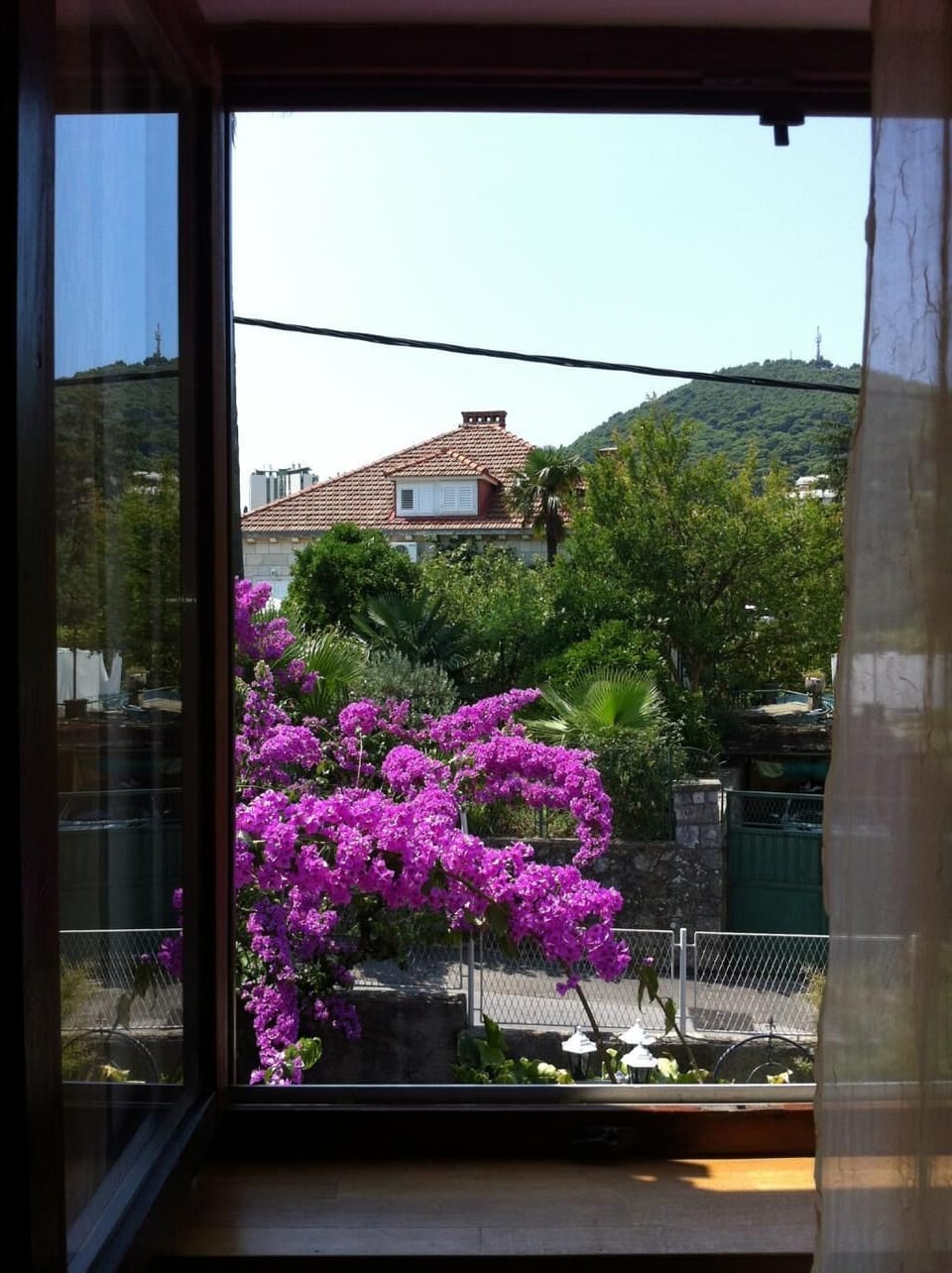 View