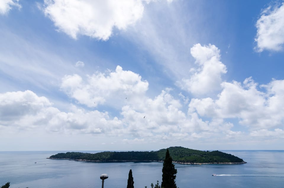 View