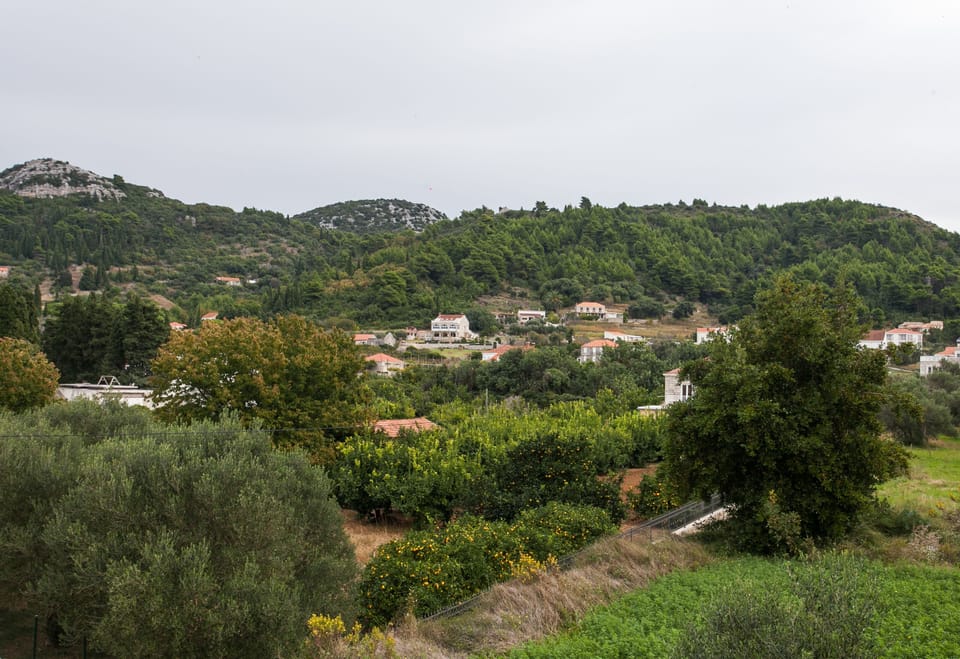 Area