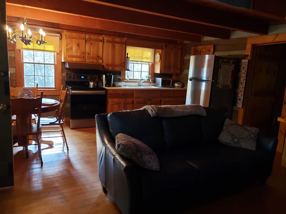 Great room, kitchen and dining area