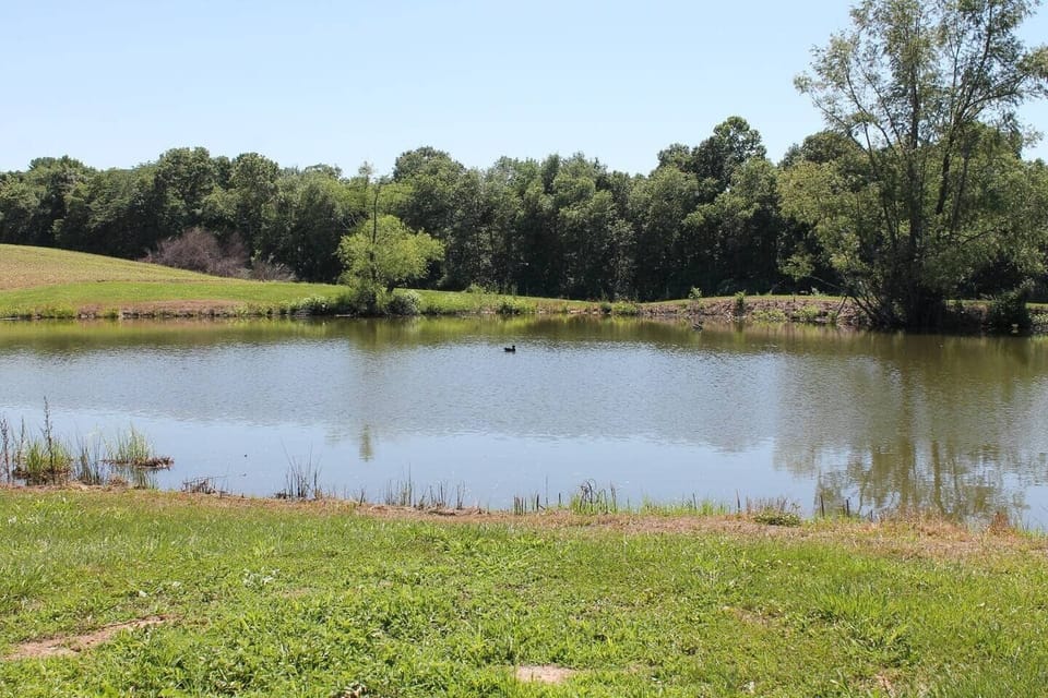 Tranquil 1-acre fishing pond — your peaceful country oasis with pond views & nature all around