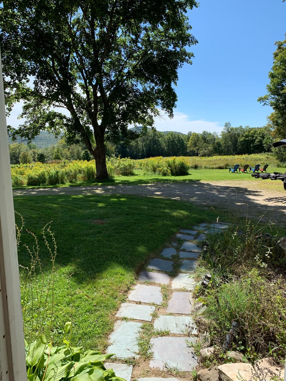View out of Three Season Porch ... main entrance pathway 