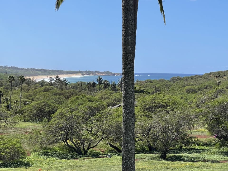 Ocean and beach views of Papohaku Beach
