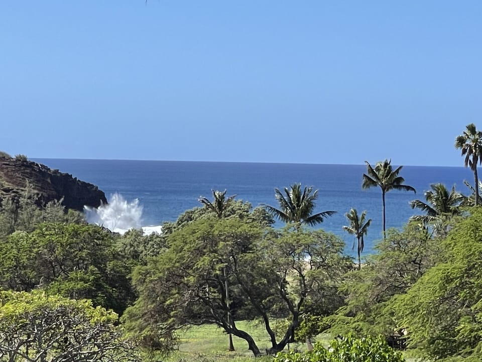 One of the only units with views of crashing surf on Kiaka Rock and Kephui Beach
