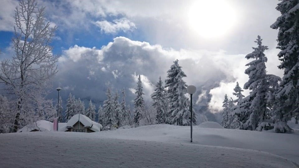 Snow and ski sports