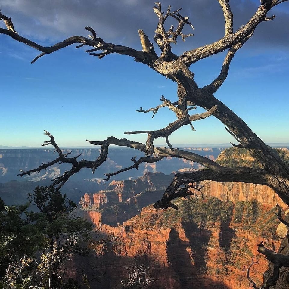 Grand Canyon 