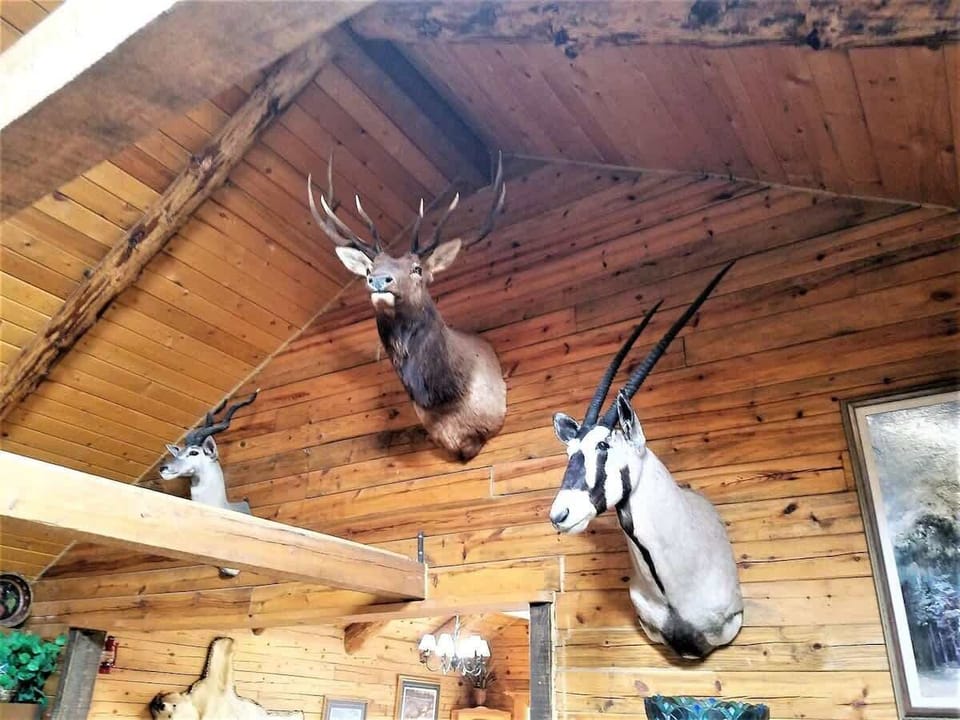 Bearadise - Cozy Cabins LLC