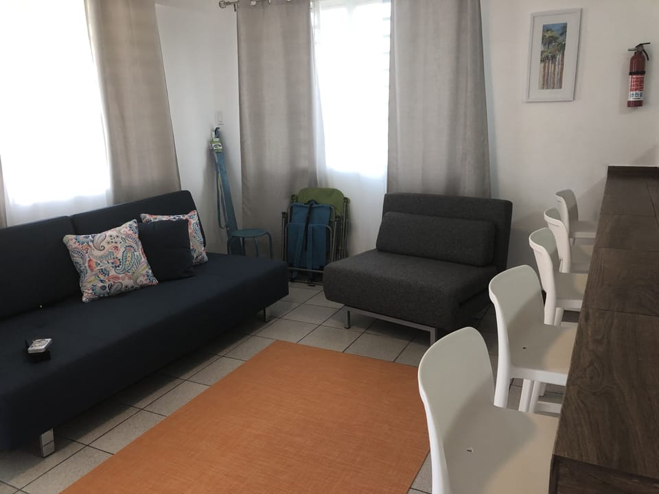 Living room with 2 futons, twin and full.