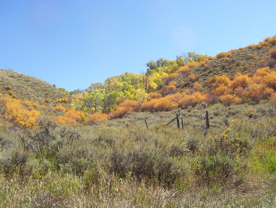 October Colors