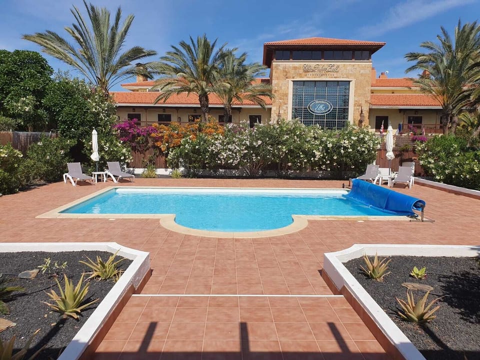 Pool from Patio