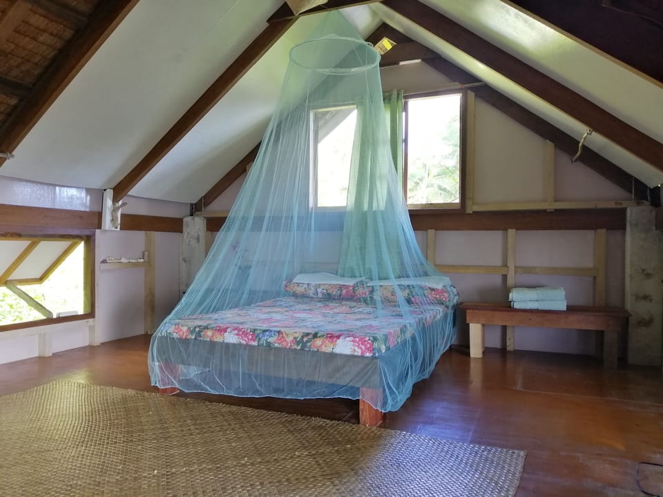 spacious room comes with a fan and mosquito net