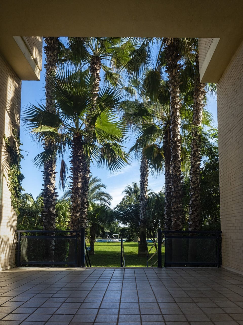 Garden views