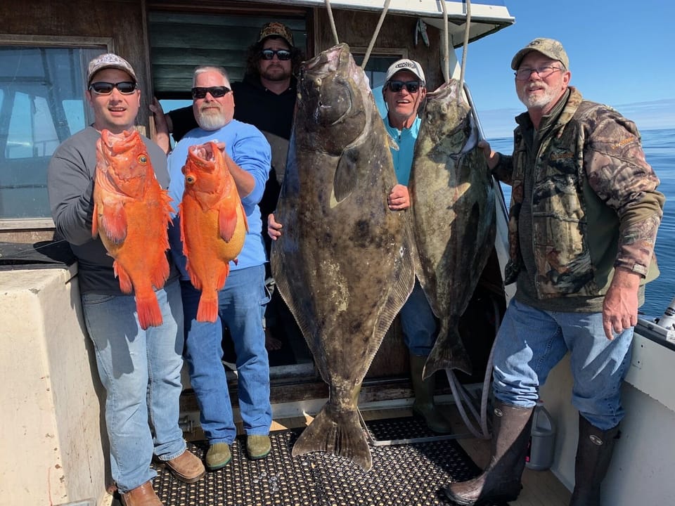 Nice Fish