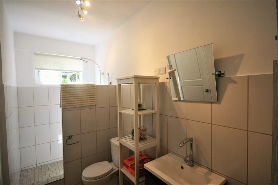 Serenity Studio walk in rain-style shower 