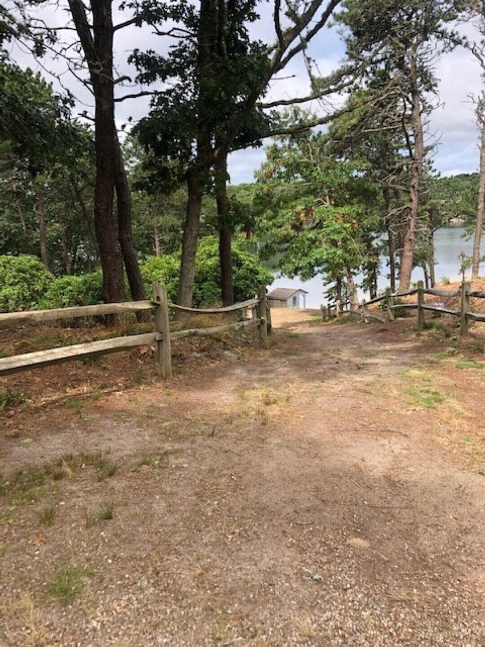Pathway down to pond and swimming area