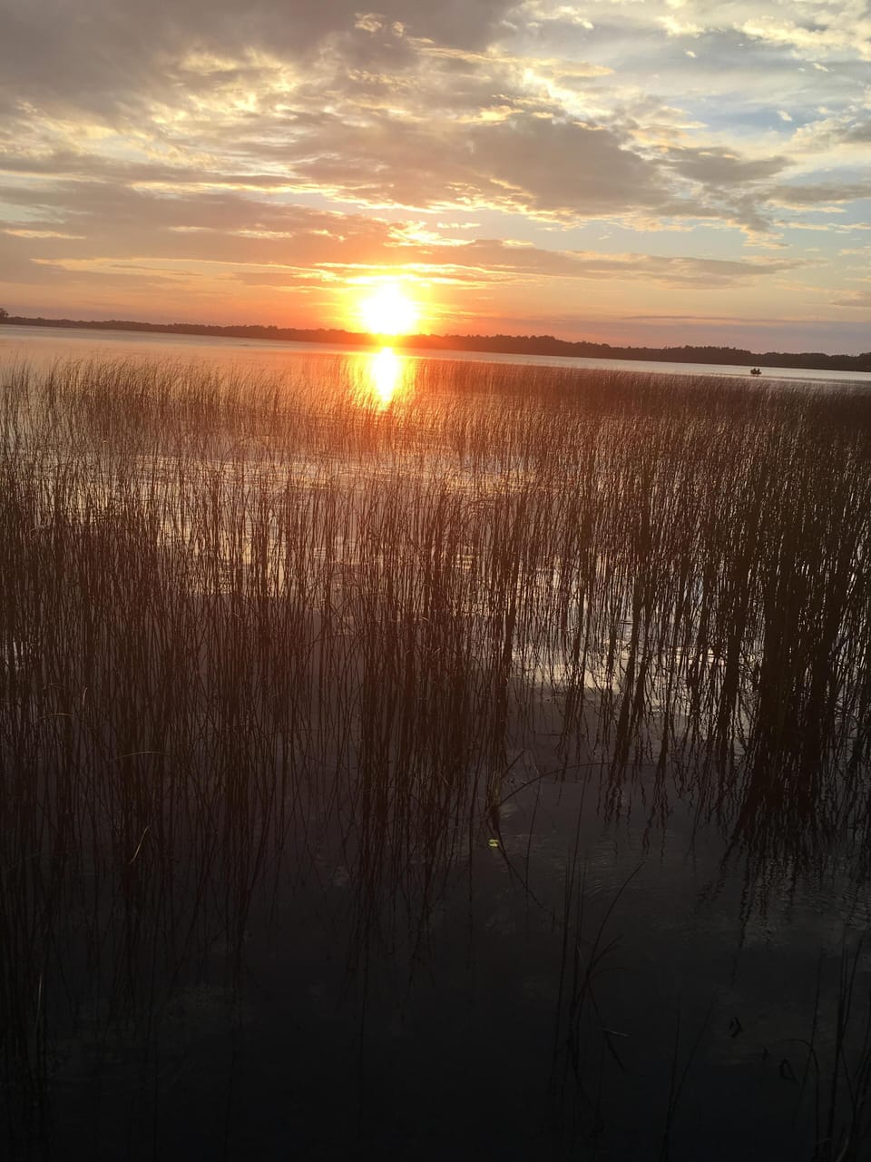 View from lakeside fire pit out to lake.