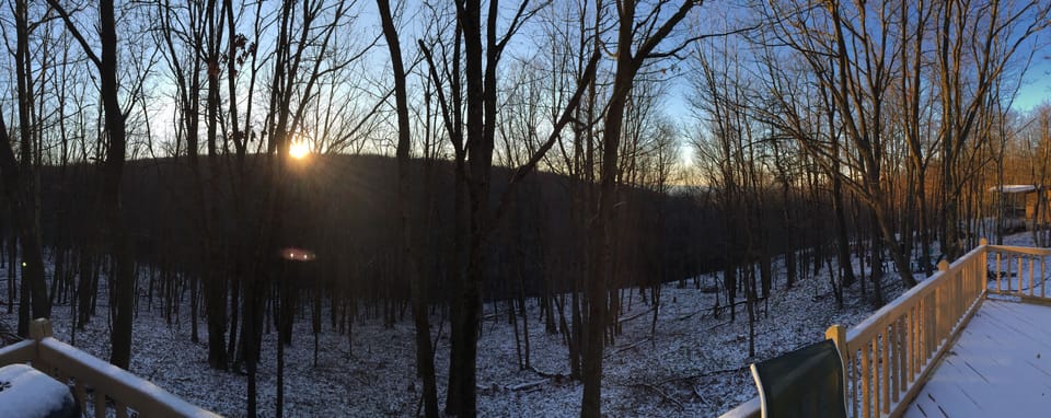 Back deck view