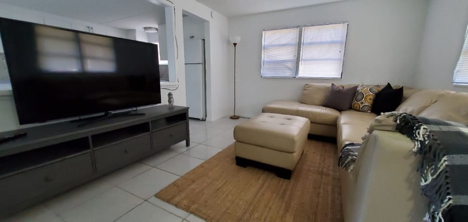 Comfortable sofa and large flat screen tv