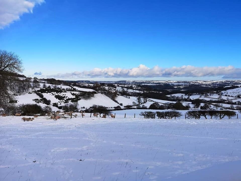 Beautiful Snow covered mountains  from our top field 
