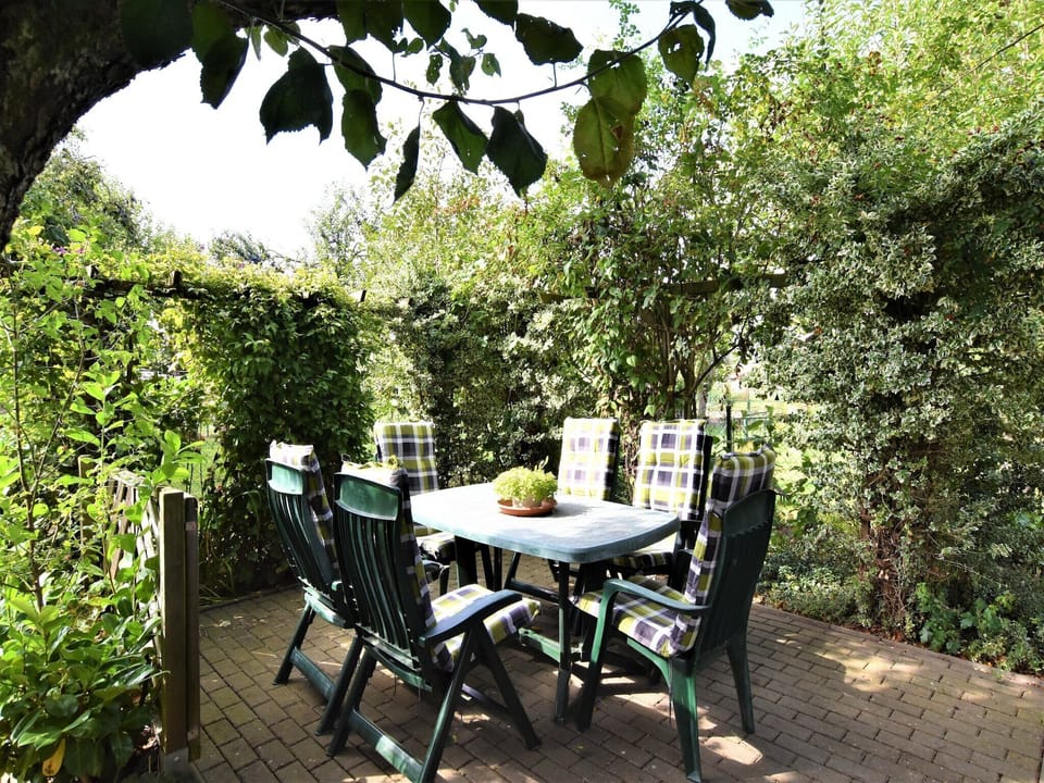 Garden [summer]
