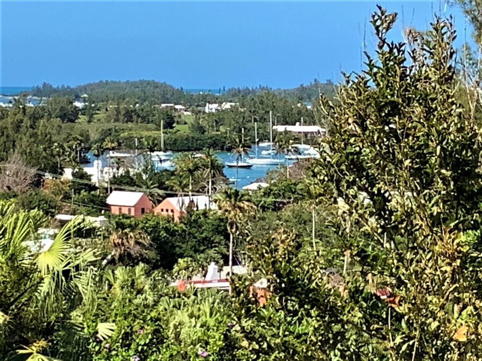 View from Main Bedroom porch