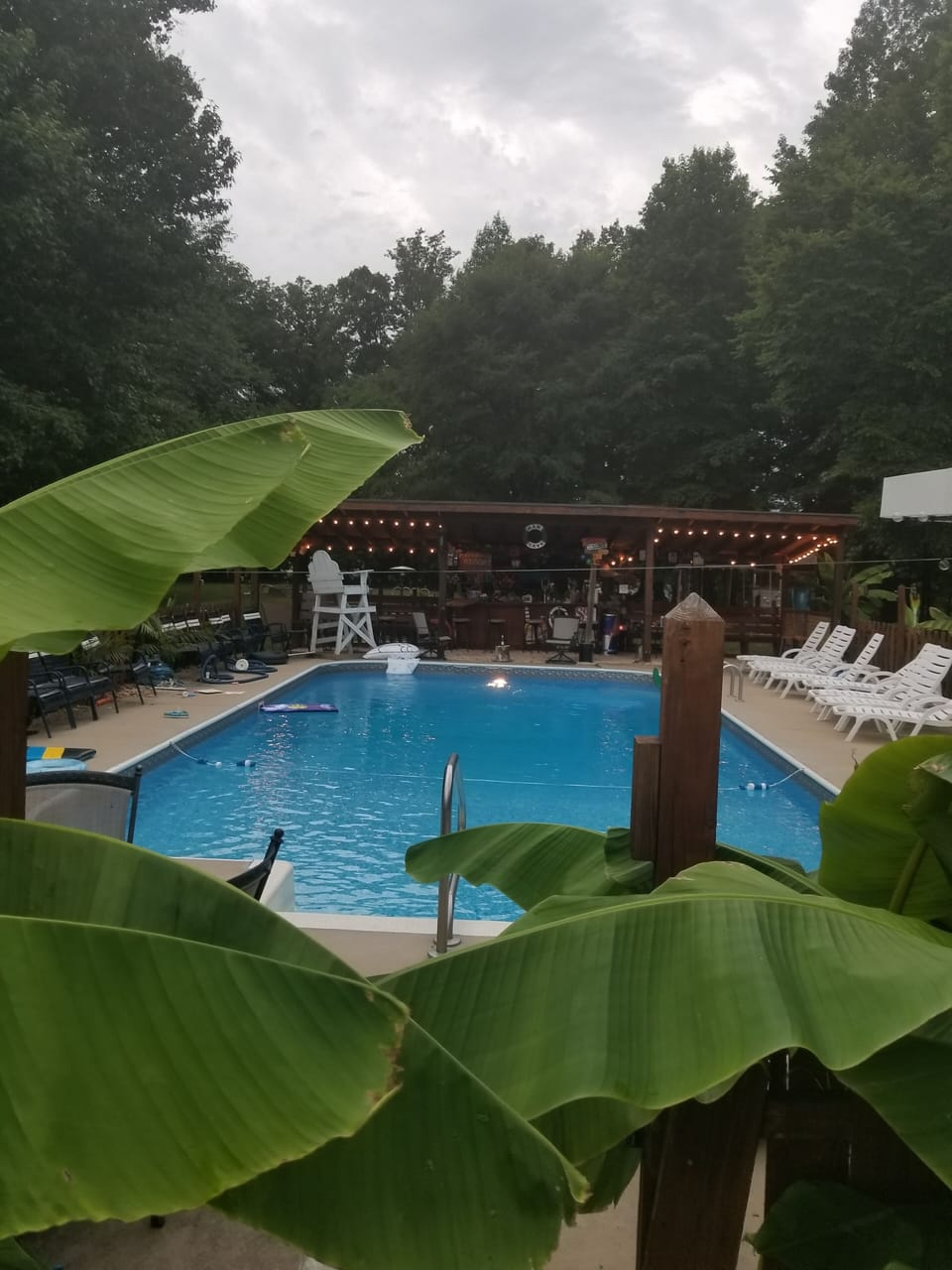 pool and bar area