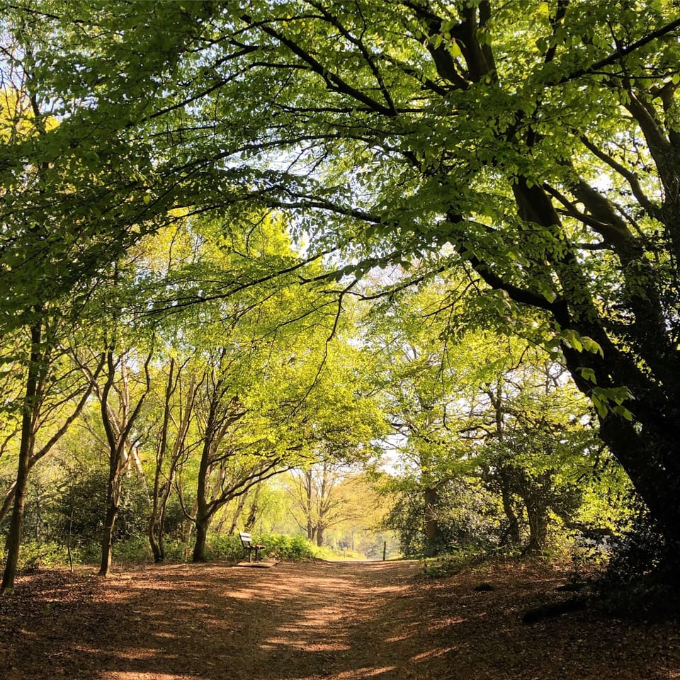 Beautiful Wimbledon Common 