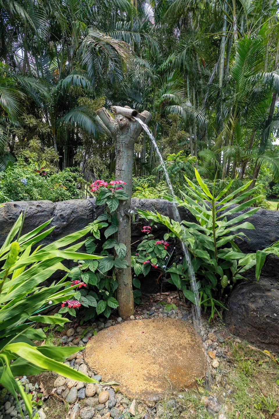 Outdoor shower