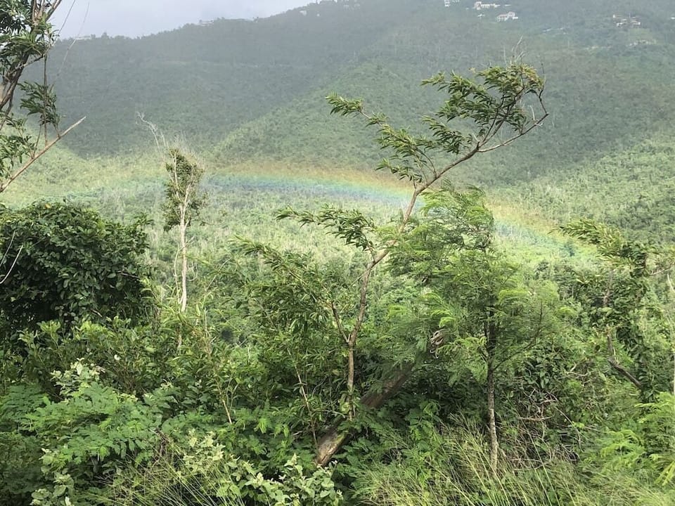 Rainbow after a rain shower is not unusual to see from the deck